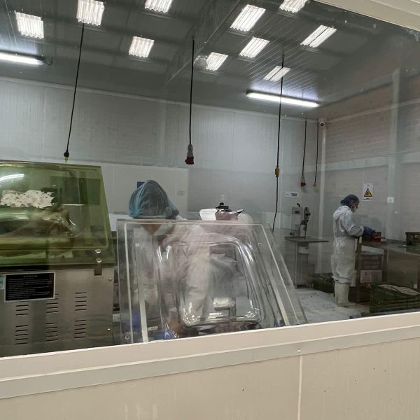 WhatsApp Image 2025-11-25 at 8.14.42 AM